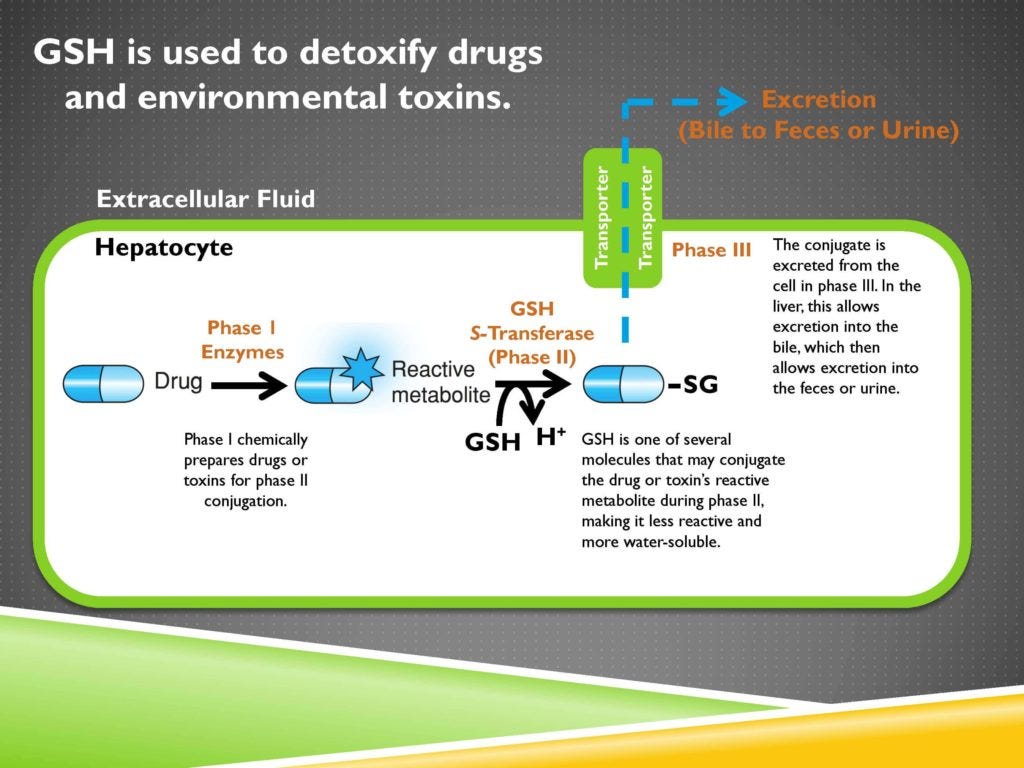 sulfur and glutathione 6. Introduction to Glutathione