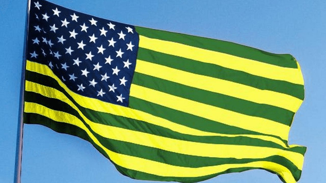 Bandeira dos Estados Unidos do Brasil Bandeira dos Estados Unidos do Brasil