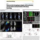 BREAKING STUDY: Intramuscular mRNA Injections Distribute to Vital Organs, Resulting in Systemic Spike Protein Production