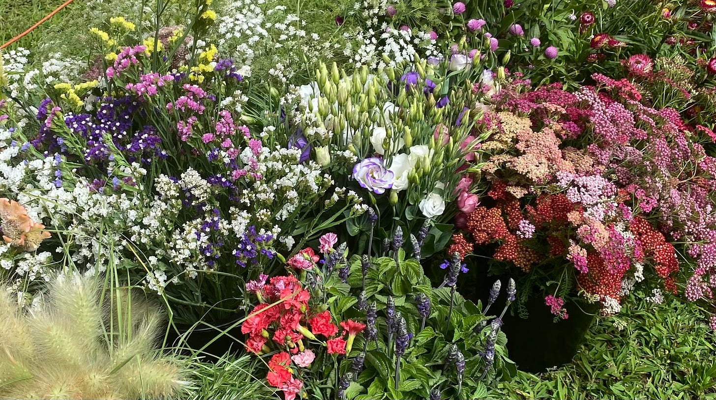 a bunch of pots of fresh flowers