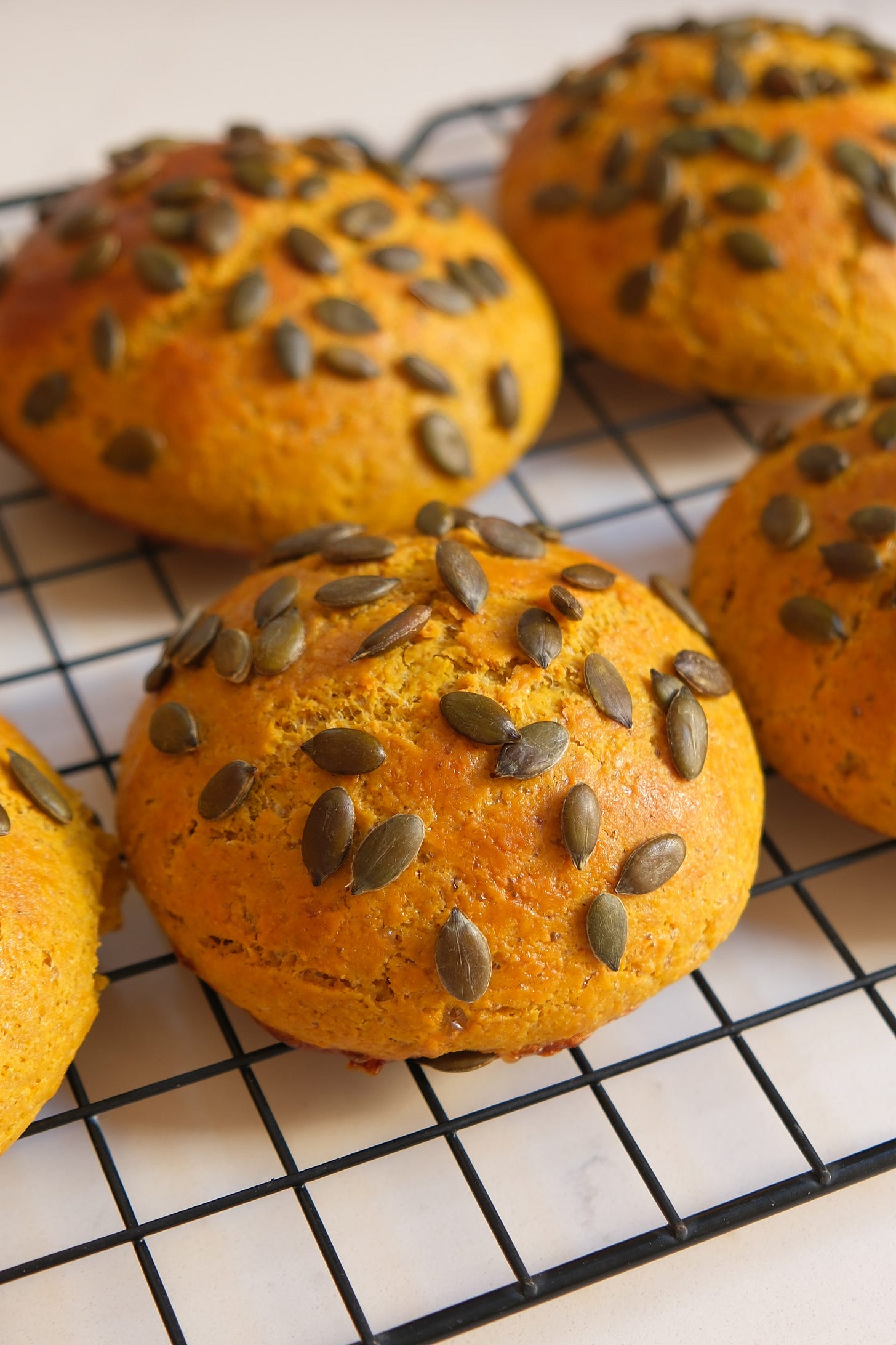 Pumpkin Seed & Pumpkin Spice High-Fiber Bread Pumpkin Seed & Pumpkin Spice High-Fiber Bread
