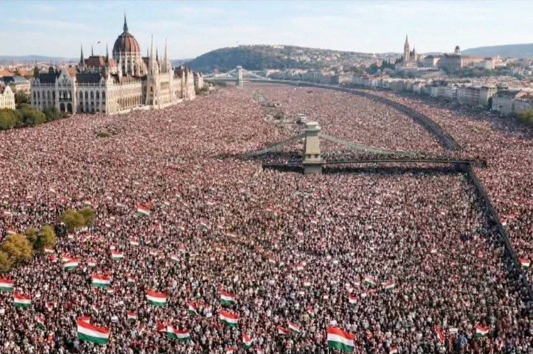 May be an image of crowd