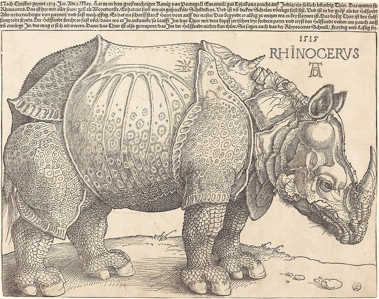 Durer Rhinoceros print Durer Rhinoceros print
