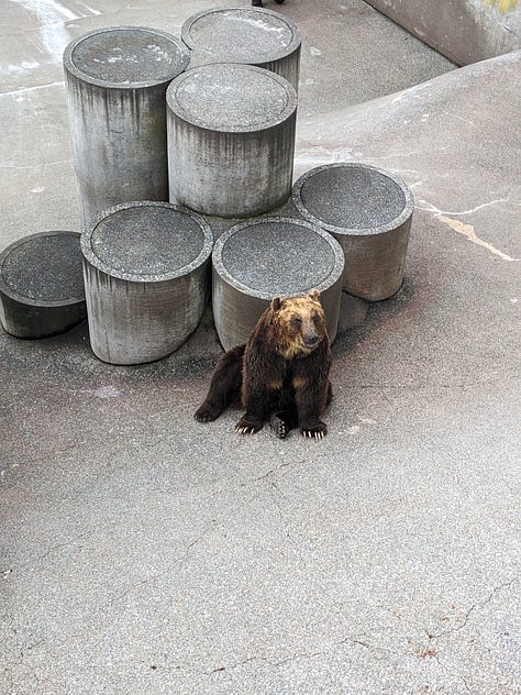 Shōwa-shinzan Bear Ranch 昭和新山熊牧場