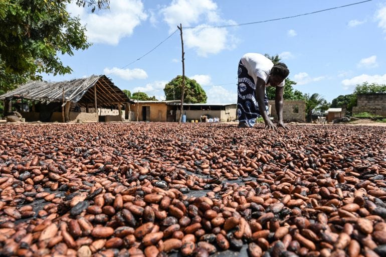 Cocoa farmer Cocoa farmer