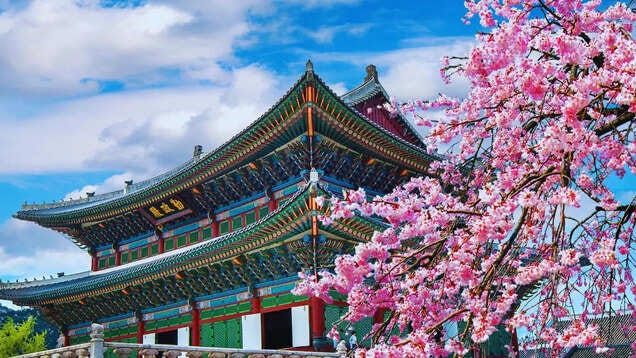 Seoul, South Korea: City's top experiences and best time to visit |  TimesTravel