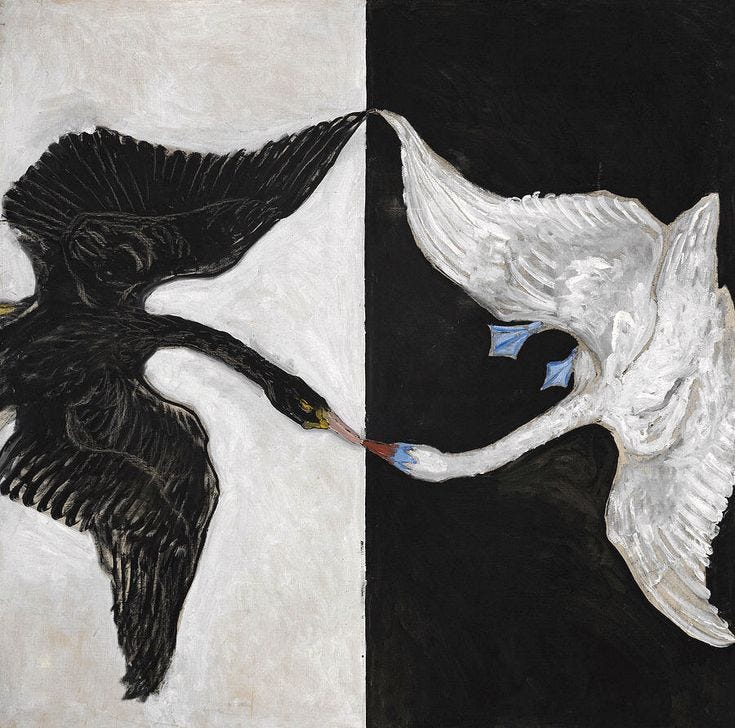 This may contain: two black and white birds flying next to each other in the same painting on paper