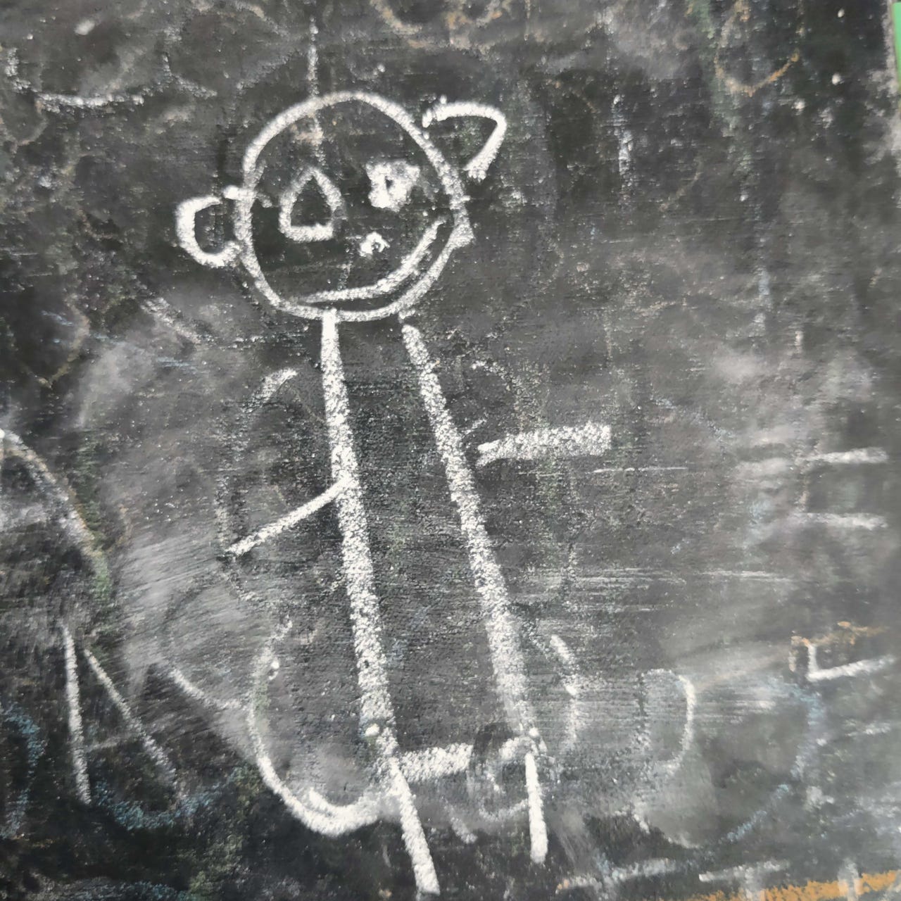 Shraddhaben Speaking