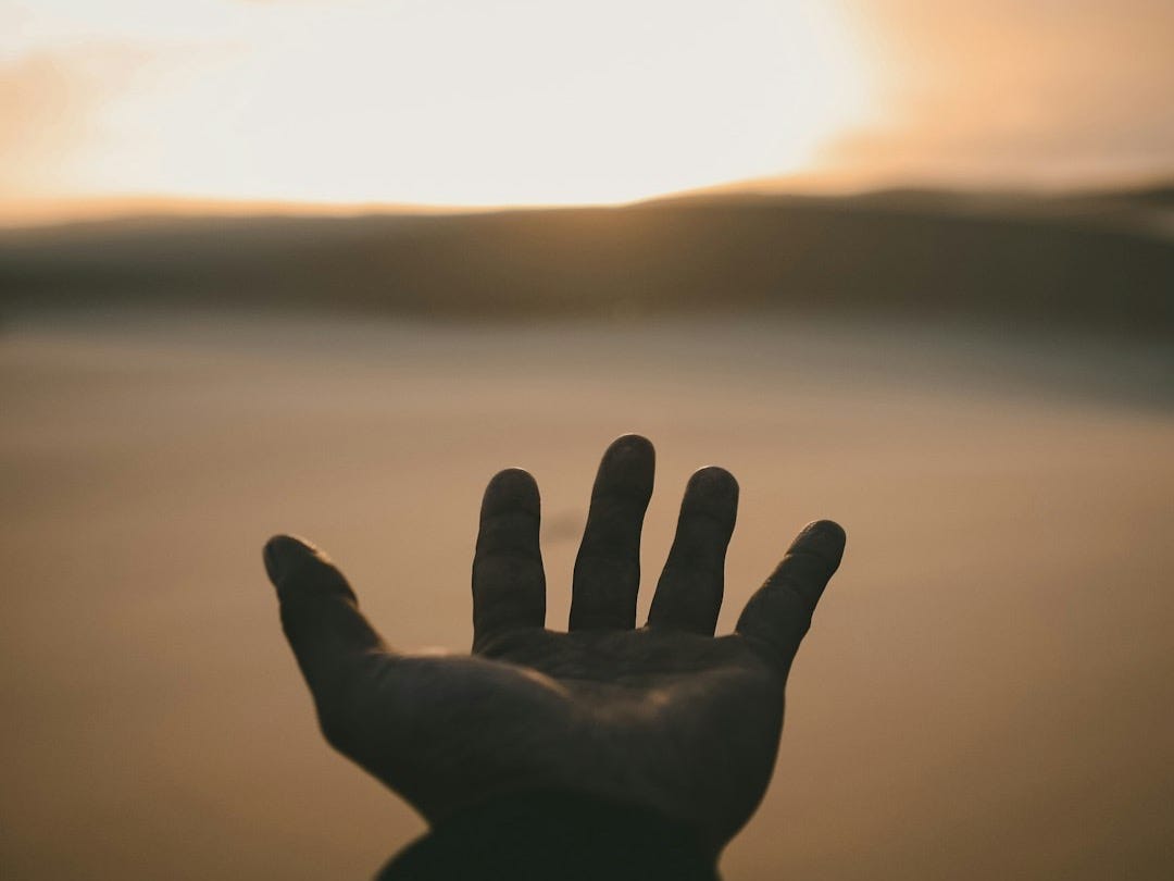 person's hand person's hand