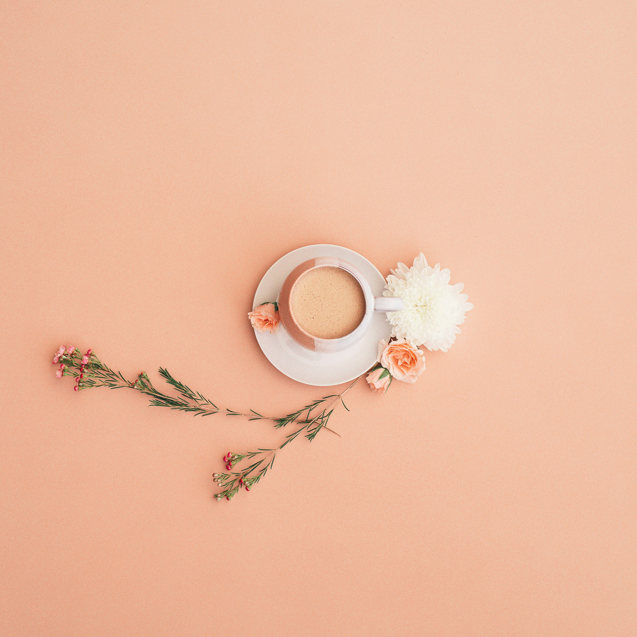 Champagne Ladies at the Life-Work Cafe