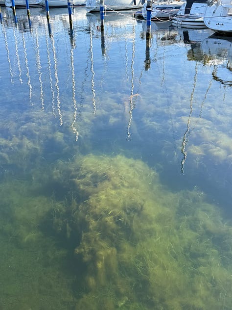 Images of the beach in sweden and few distant family members