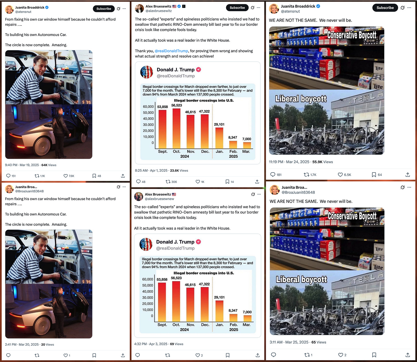 screenshots of two Juanita Broaddrick posts and an Alex Bruesewitz post, and screenshots of copies of the posts from fake accounts