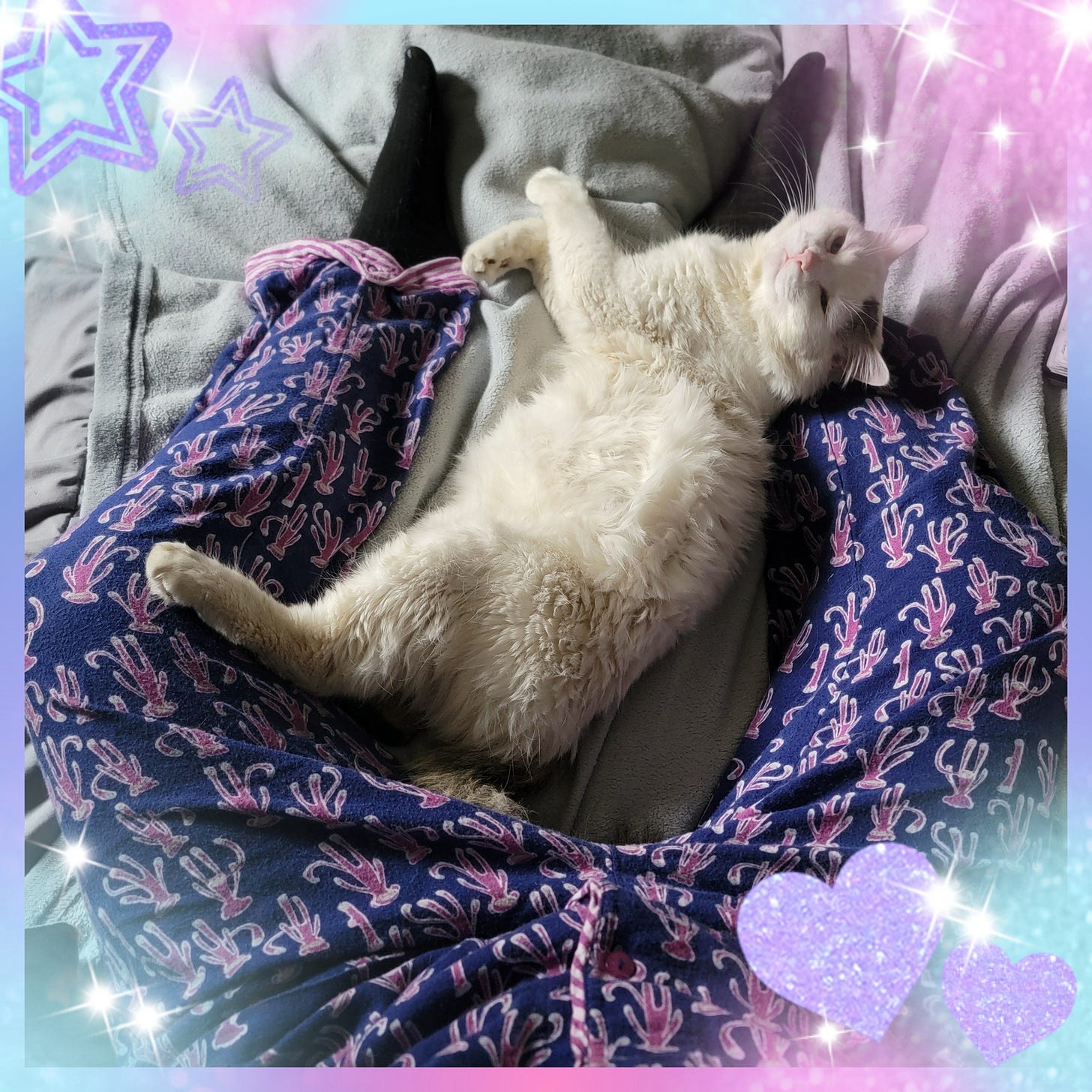 A white cat with dark spots is hanging out between the legs of a human. They look happy as they smile into the camera.