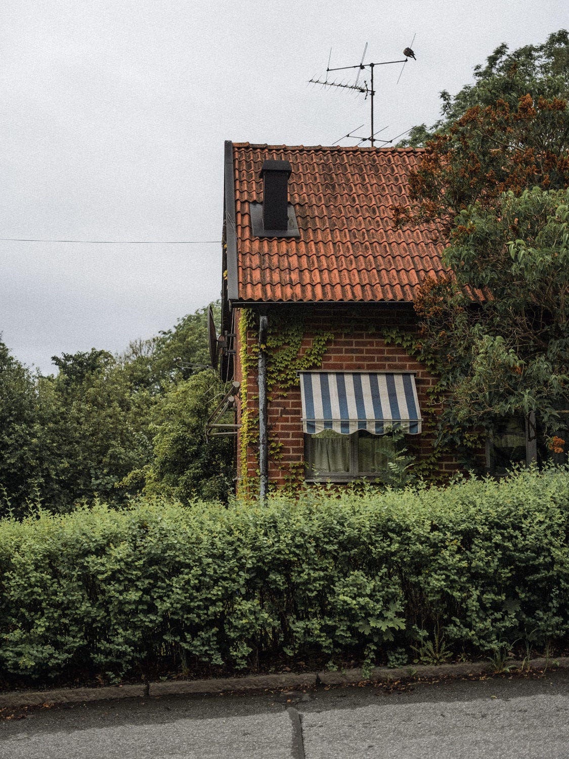 sigtuna homes