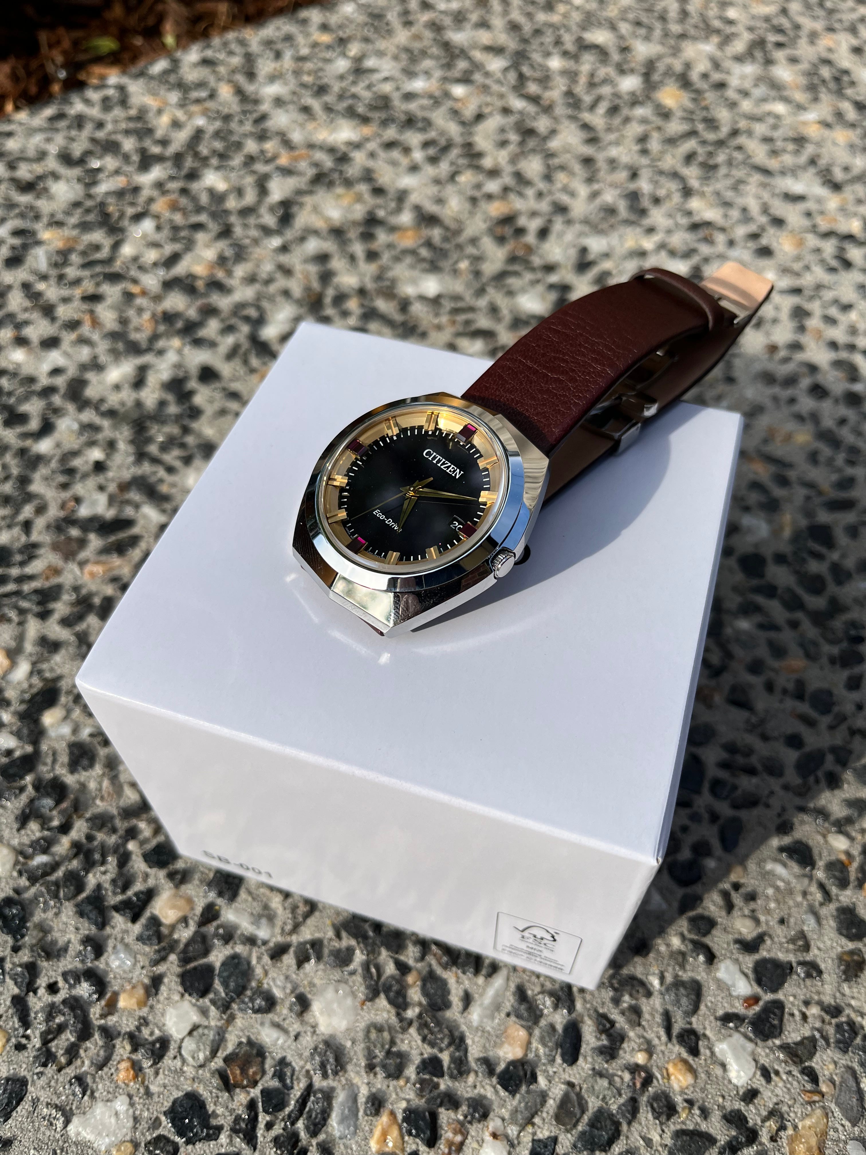 Citizen BN1010-05E - The Gnomonist