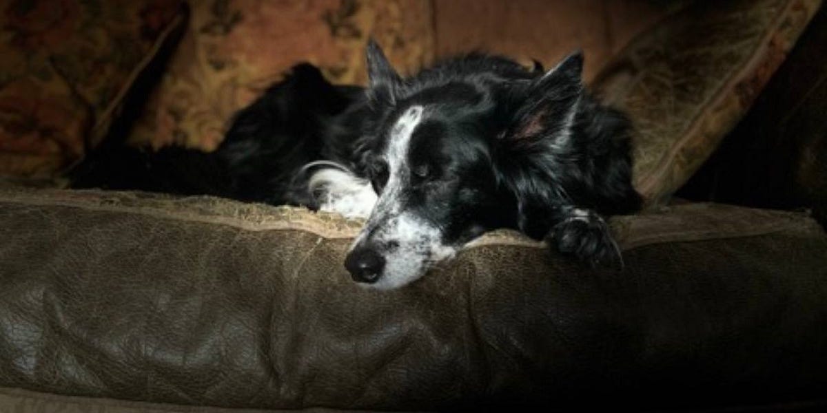 ...too good for this world...