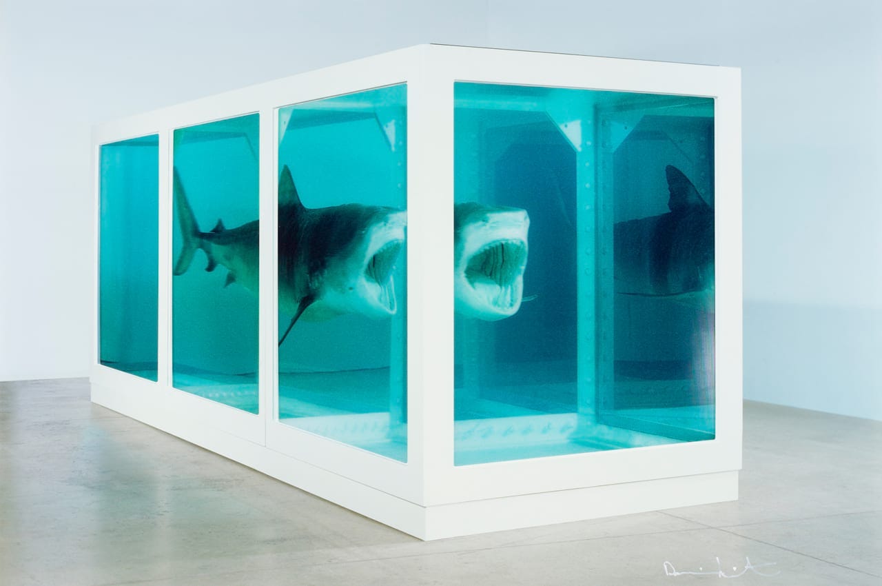 Damien Hirst's Most Controversial Works Damien Hirst's Most Controversial Works
