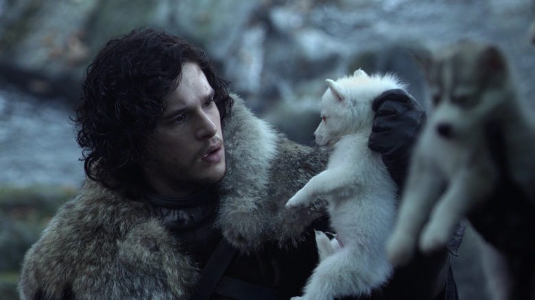Game Of Thrones' Adorable Dire Wolves Have Been Brought Back From ...