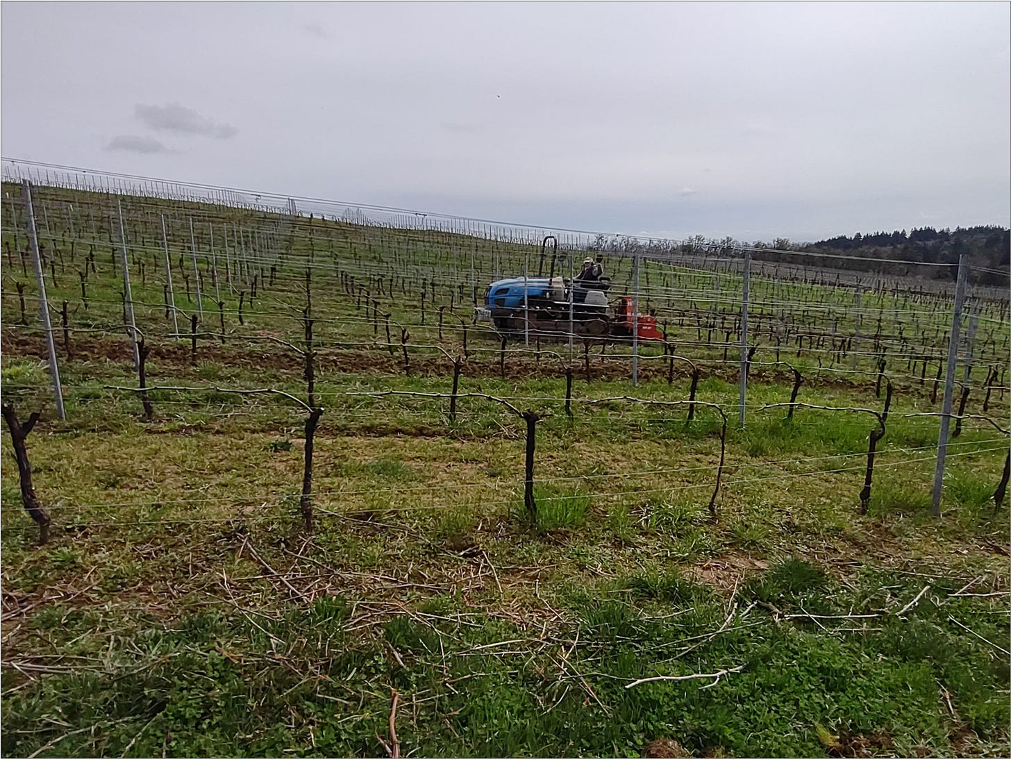 Ernie preparing the vineyard floor for Vintage 2022.