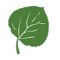 Western Resilience Center's avatar