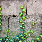 “Don’t Start A Newsletter” & Other Advice For Newsletter Writers 