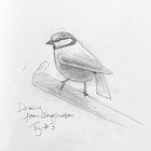  Finding Freedom in Drawing from Memory