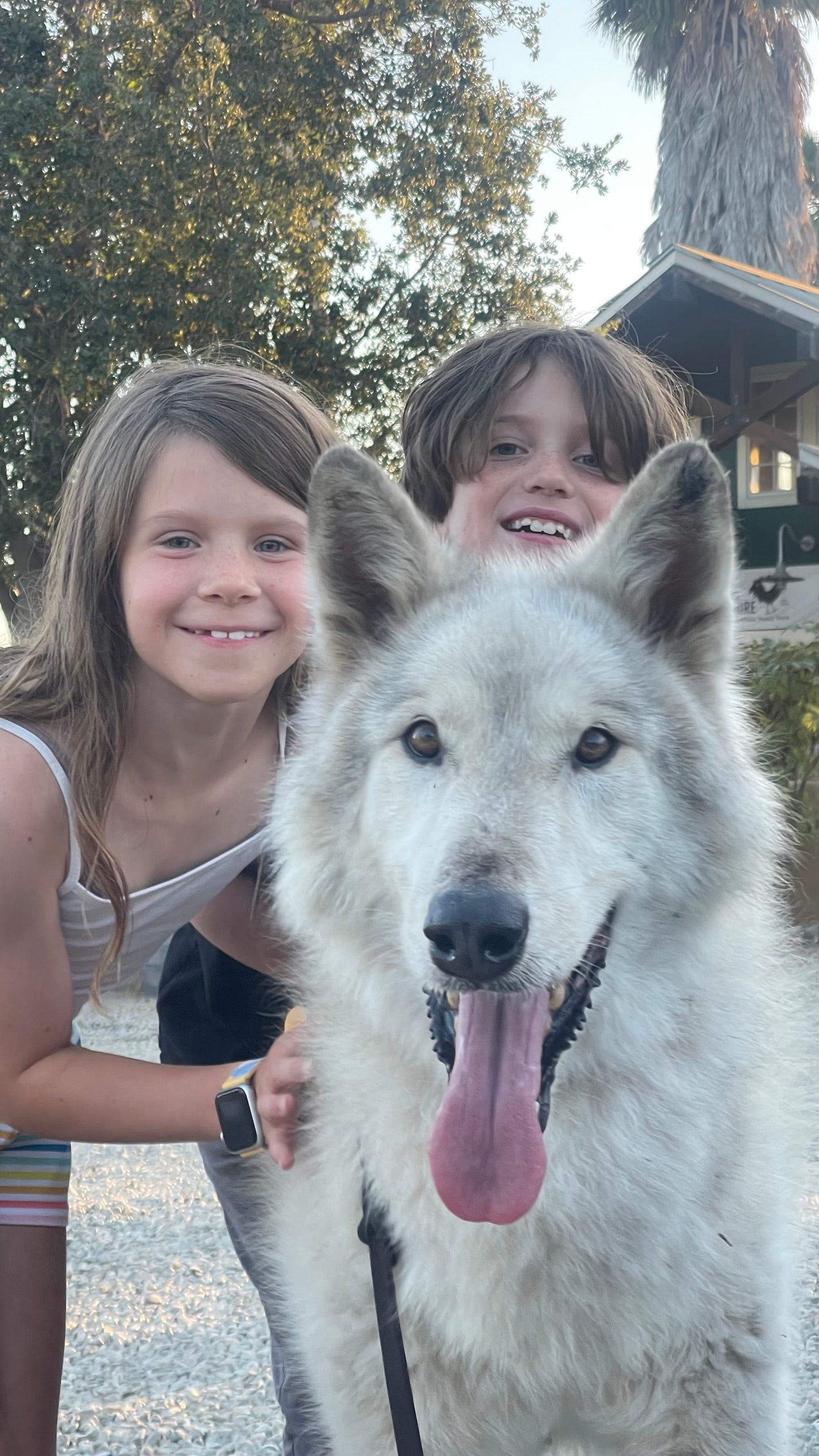 Lucy Koerbel, Ian Hoskins-Bishop, and Flynn the wolf pose for the camera before appearing in the movie The Not by Courtney Hoskins
