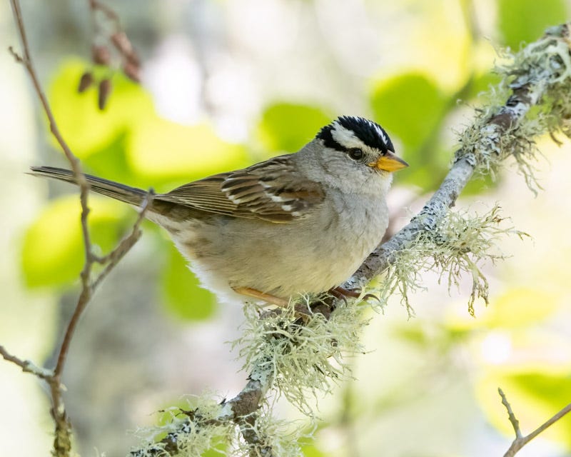 20250610-SJI-153-Edit.jpg 20250610-SJI-153-Edit.jpg