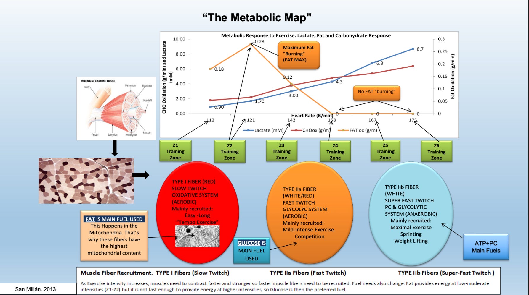 Rethinking Exercise Metabolism: From 