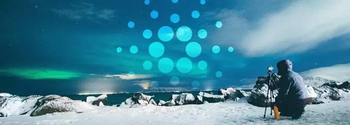 Cardano updates Daedalus wallet ahead of Shelley incentivized testnet launch Cardano updates Daedalus wallet ahead of Shelley incentivized testnet launch