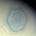 Abyssal Astrology's avatar