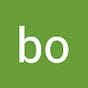 bo l's avatar