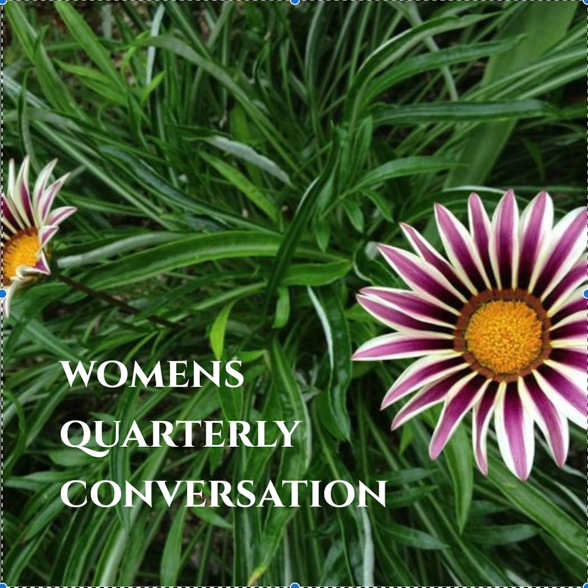 womens quarterly conversation 