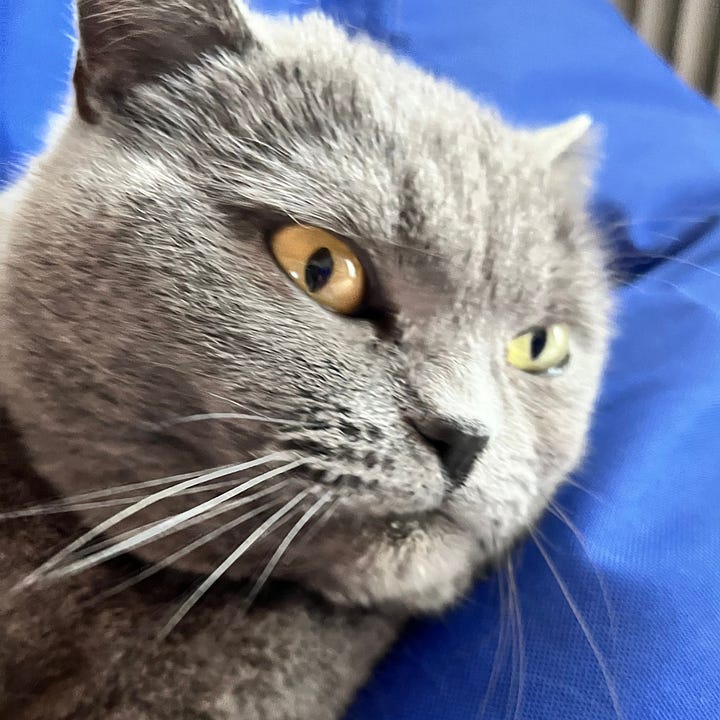 A gallery of 4 close-up photos of Jack's face from images from the post.