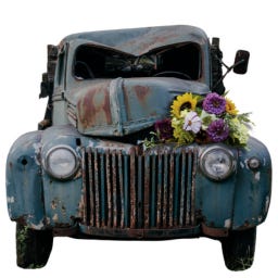 Beauty in the Brokenness