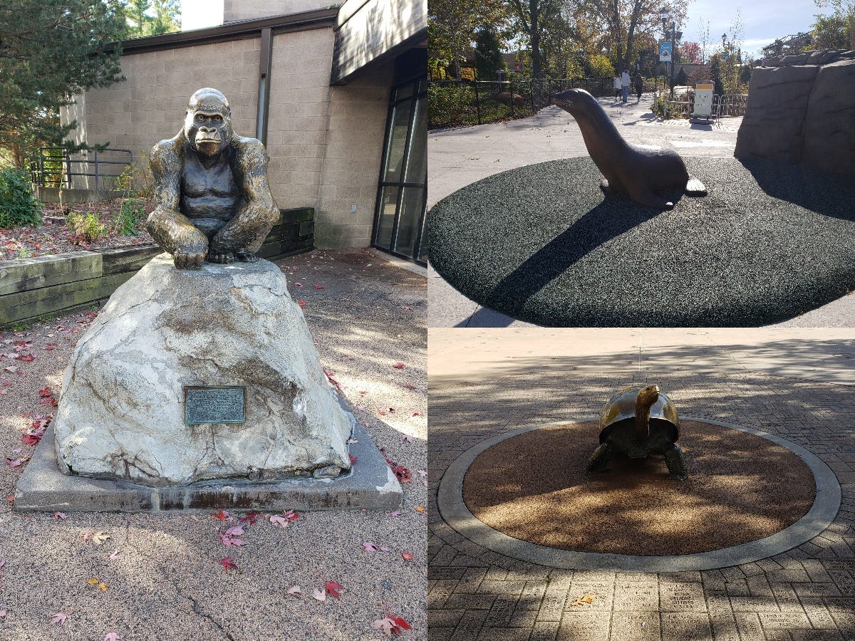A collage of three photos showing different statues around Como zoo. On the left the sitting gorilla. Top right is a seal. Bottom right is a tortoise.
