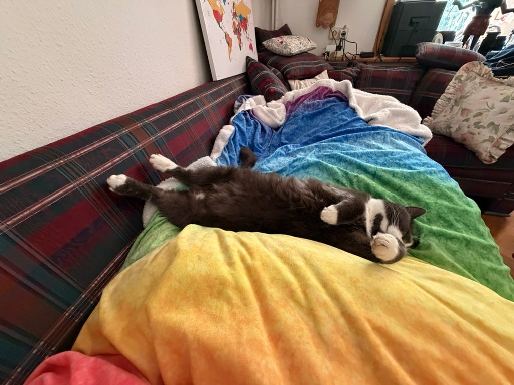 A grey and white tuxedo cat lies fully stretched and deeply asleep across a rainbow-gradient blanket on a dark tartan sofa. White paws extended, eyes closed, entirely at ease.