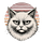 Solar Kitties | Energy & Longevity