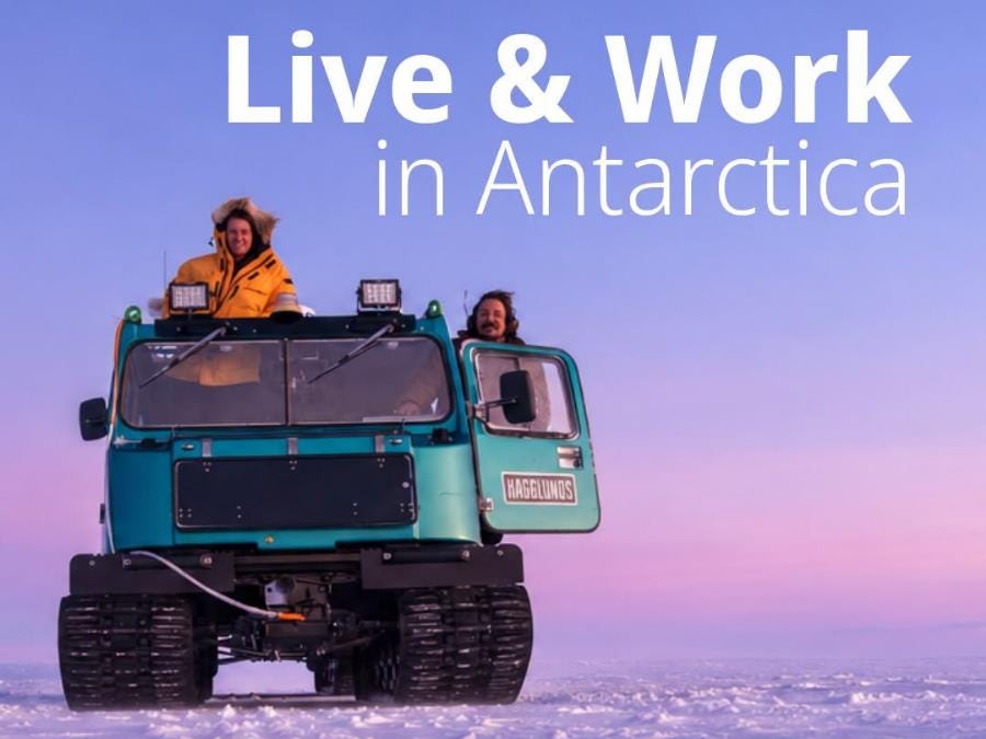 Apply By November 1 For A Job In Antarctica Apply By November 1 For A Job In Antarctica