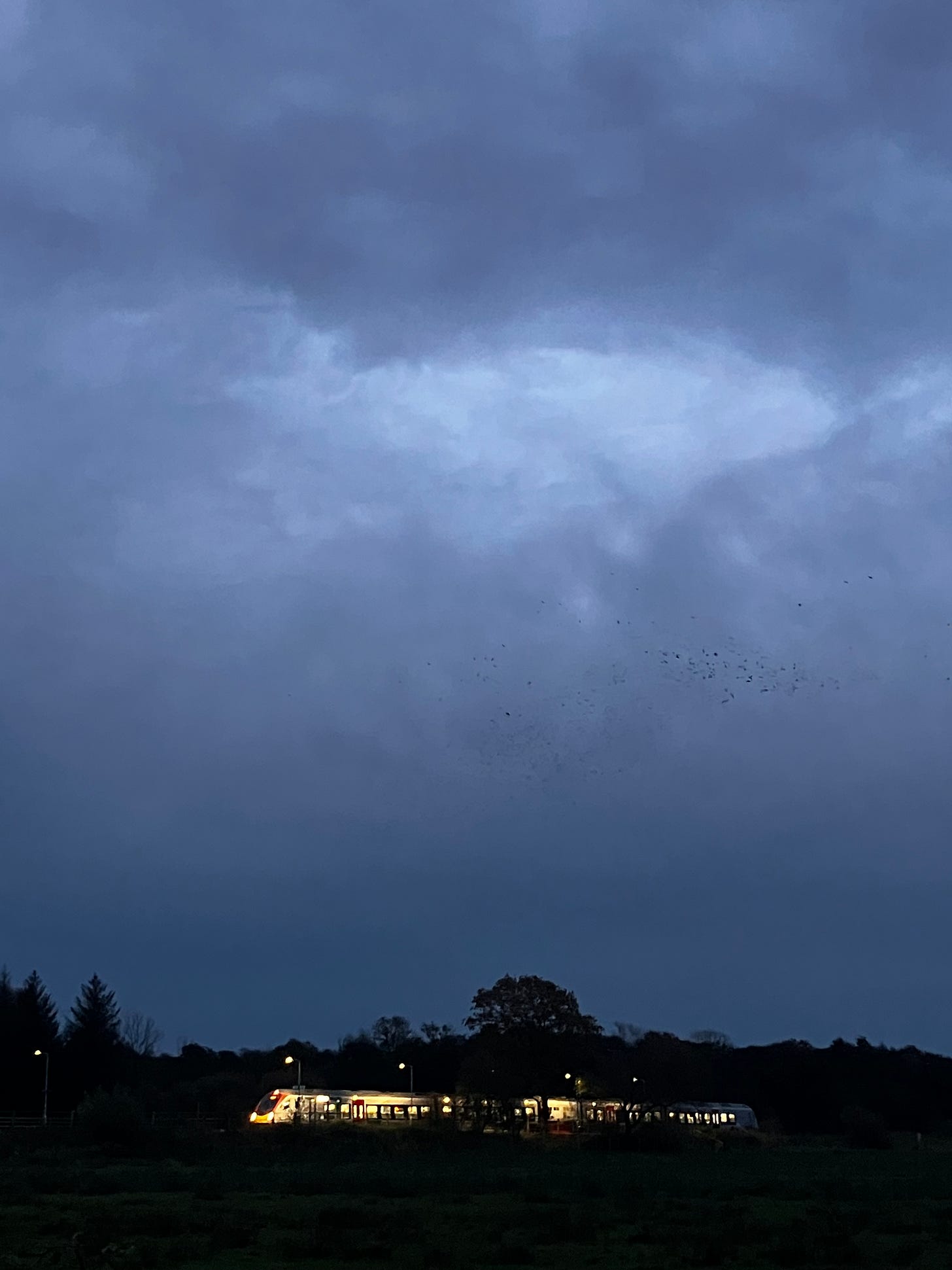 It's almost dark. A train has stopped at a country station its lights shining brightly against the dark of the woods behind. In the sky rooks are beginning to gather to roost
