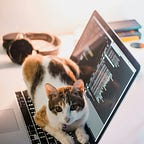 Des Silos En Trop (DSI, Métiers, Lean, Agile)