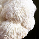 Lion’s Mane Mushrooms and Brain Health