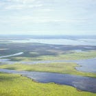 Ducks Unlimited Canada Protects Key Wetlands Across Ontario