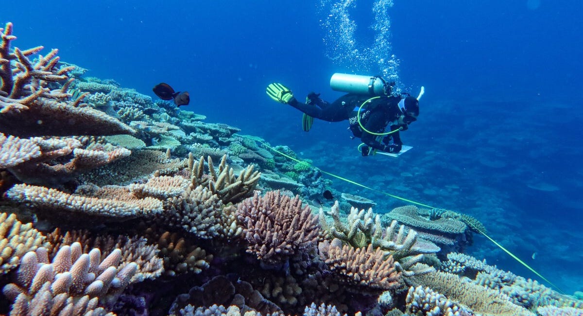 Great Barrier Reef becoming more fragile