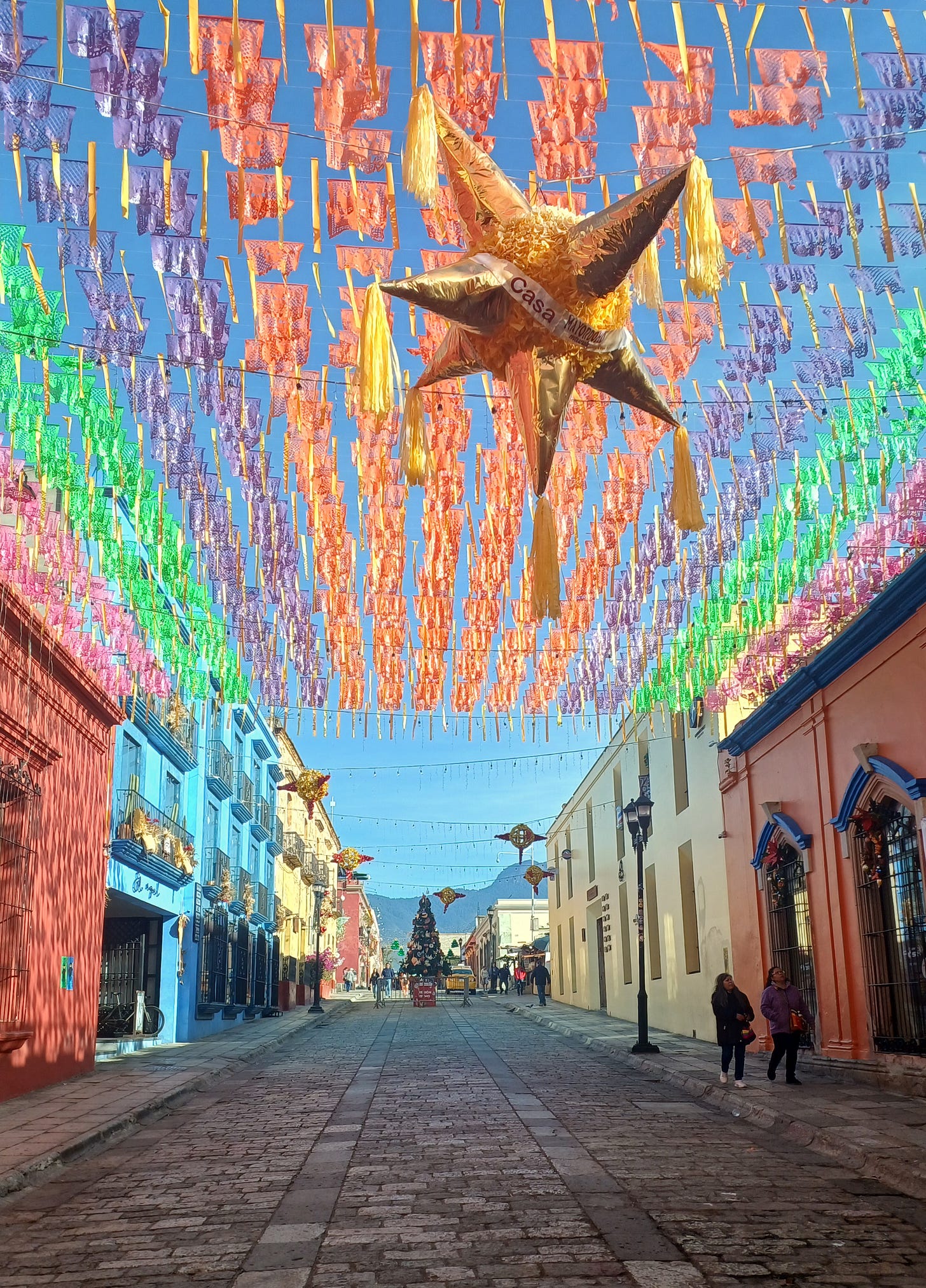 Una strada della città messicana di Oaxaca, decorata con le tradizionali bandierina in carta velina colorata e un albero di Natale in lontananza.