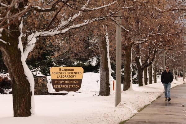 A sign on a snowy, tree-lined street identifies the Bozeman Forestry Research Station.