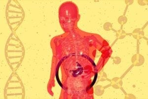 abstract gut health illustration
