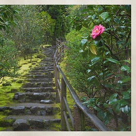 A Soft Mossy Landing