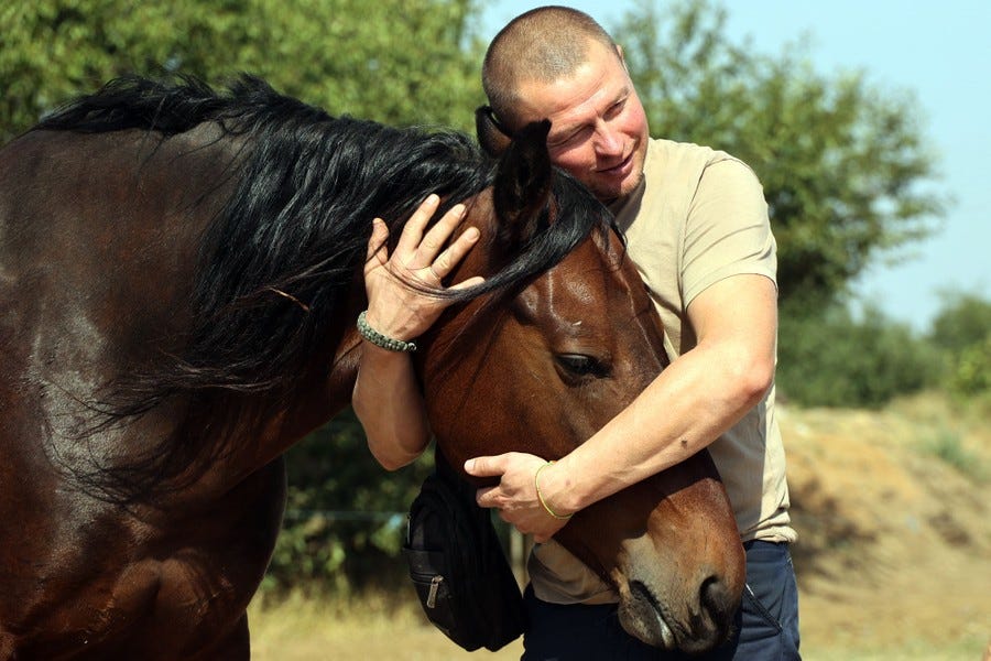 A man embraces a horse. A man embraces a horse.