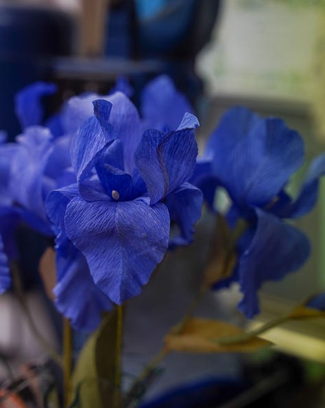 Paper flowers for upcoming workshops, peonies, iris, poppies, cornflowers